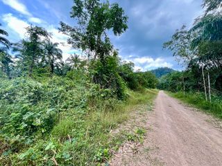 ขาย ที่ดิน ใน เมืองกระบี่, กระบี่