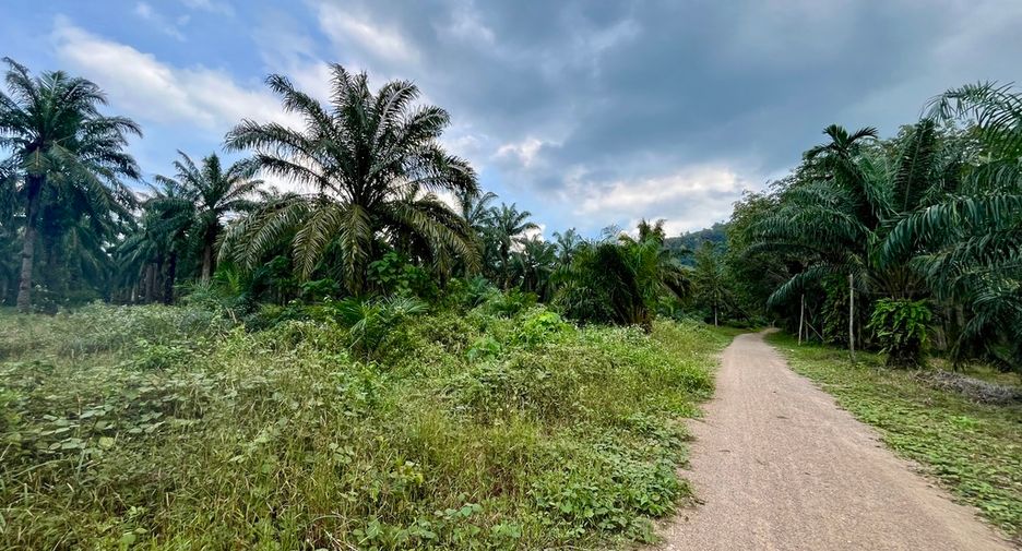 Grundstück zum Kauf in Mueang Krabi, Krabi