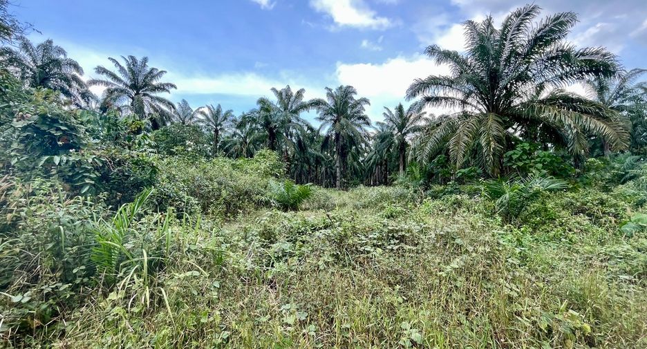 Grundstück zum Kauf in Mueang Krabi, Krabi