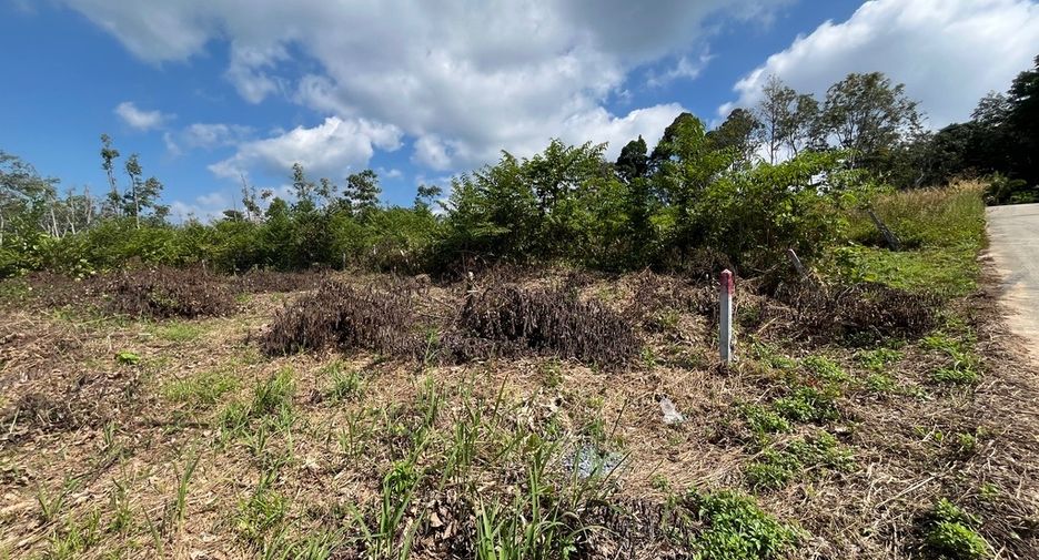 For sale land 