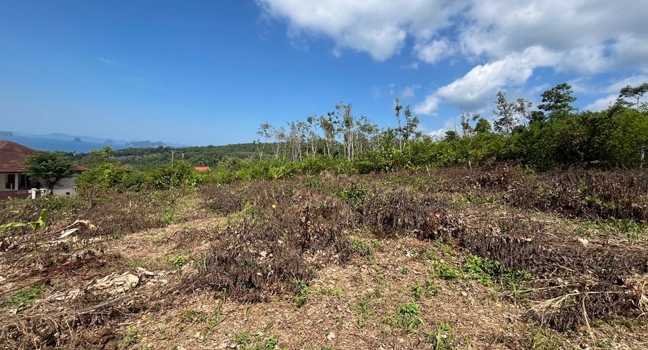 For sale land 