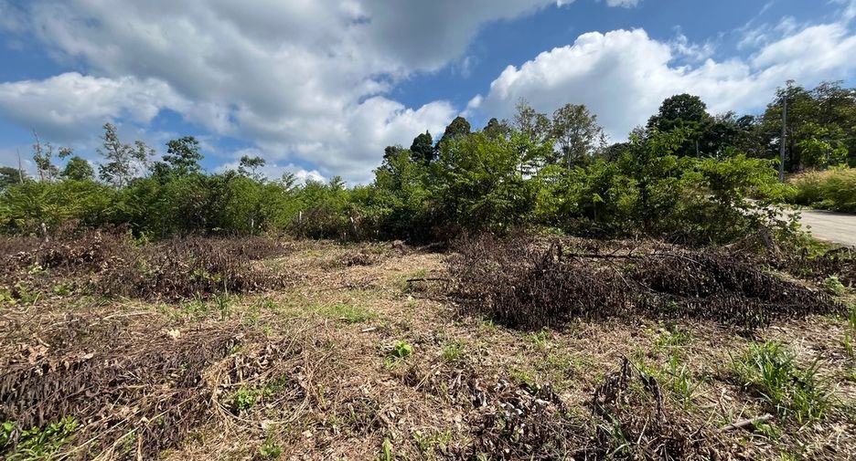 For sale land 
