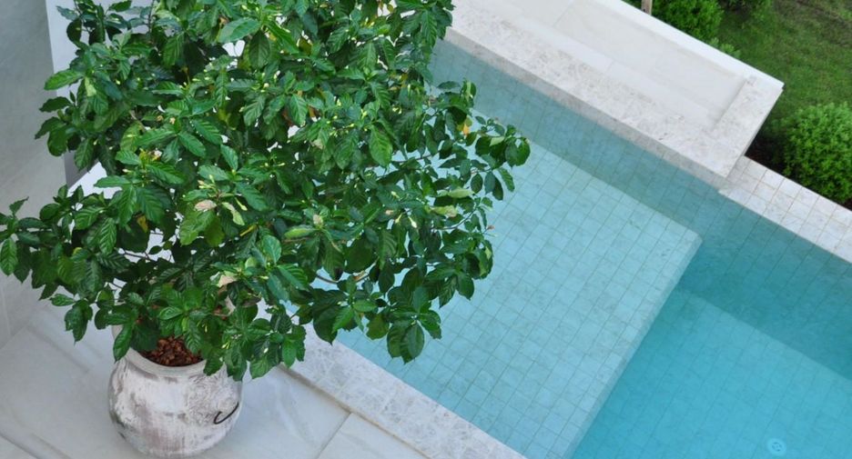 For rent and for sale 4 bedrooms villa in Hang Dong, Chiang Mai