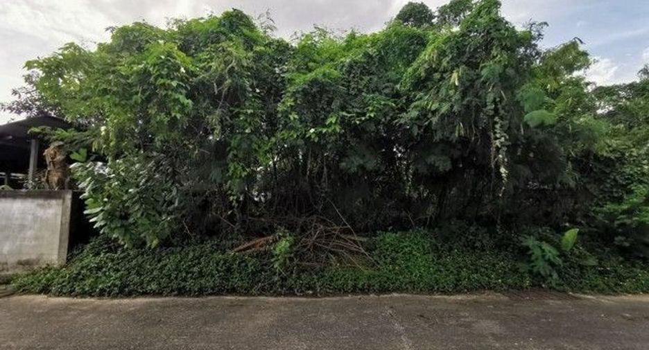 For sale land in Phibun Mangsahan, Ubon Ratchathani