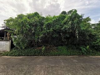 出售 土地 在 Phibun Mangsahan, Ubon Ratchathani