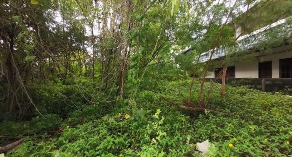 For sale land in Phibun Mangsahan, Ubon Ratchathani