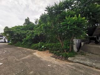 出售 土地 在 Phibun Mangsahan, Ubon Ratchathani