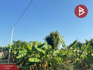 出售 土地 在 Saraphi, Chiang Mai