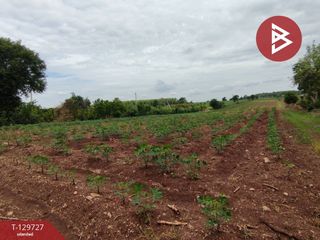 For sale land in Tak Fa, Nakhon Sawan