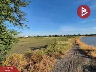 出售 土地 在 Song Phi Nong, Suphan Buri
