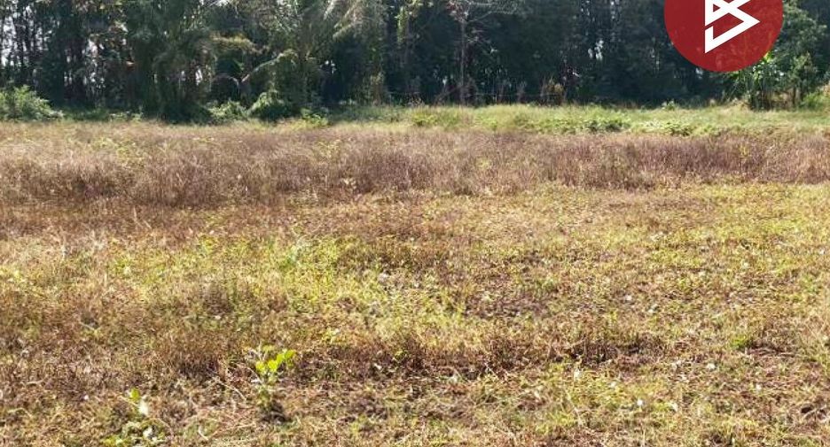 For sale land in Pak Tho, Ratchaburi