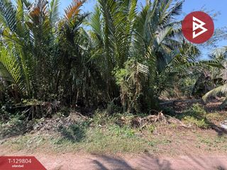 For sale land in Amphawa, Samut Songkhram