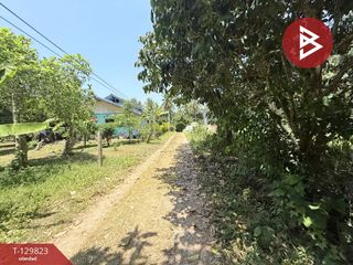 ขาย ที่ดิน ใน เมืองชุมพร, ชุมพร
