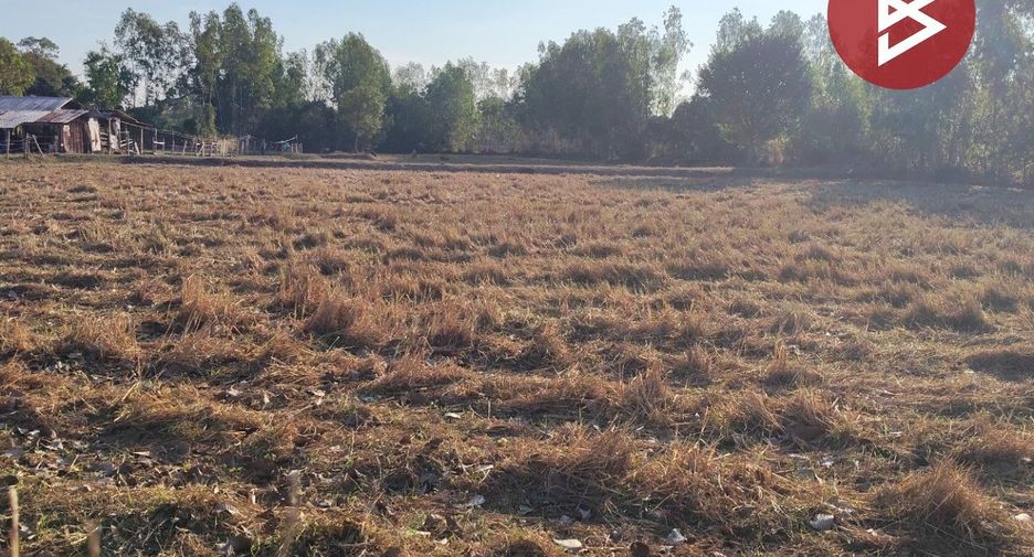 For sale land in Suwannaphum, Roi Et