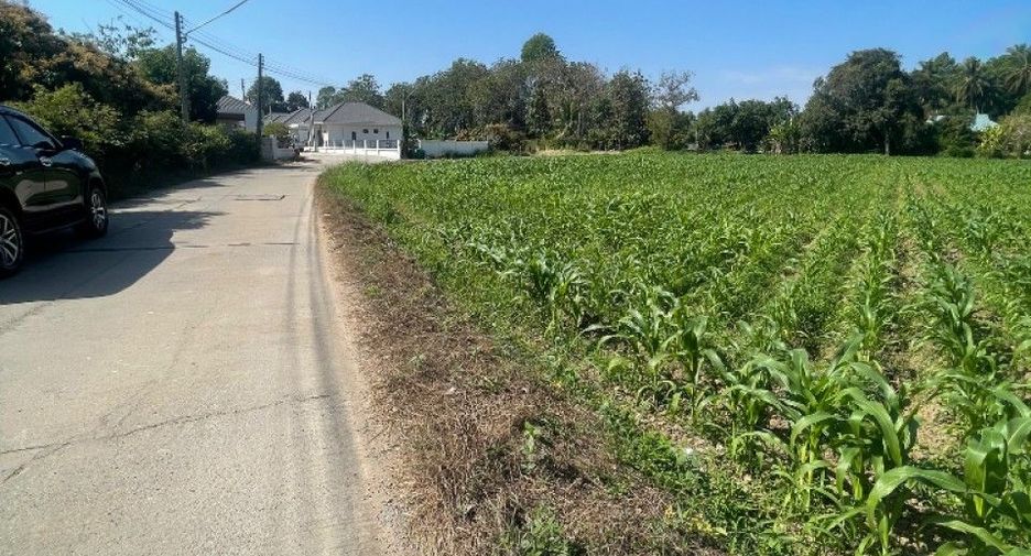 For sale land in Banphot Phisai, Nakhon Sawan