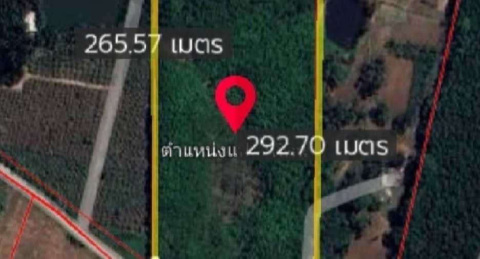 Grundstück zur Miete in Nong Yai, Chonburi