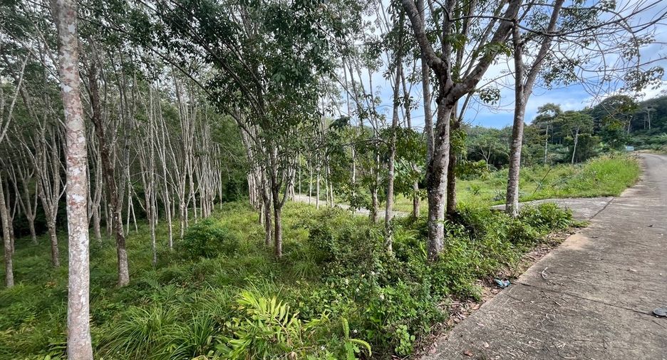 Grundstück zum Kauf in Mueang Krabi, Krabi