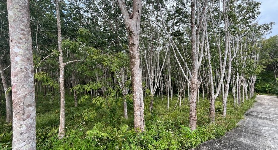 Grundstück zum Kauf in Mueang Krabi, Krabi