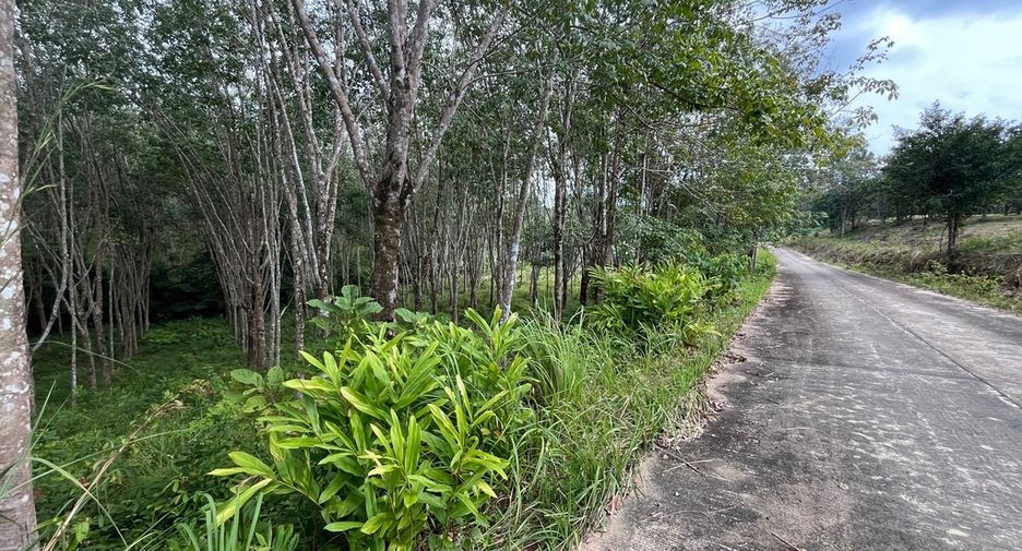 Grundstück zum Kauf in Mueang Krabi, Krabi