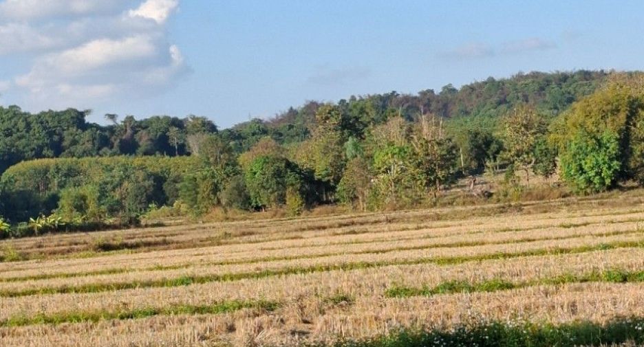 Продажа Участок в Wiang Chai, Чианг Рай