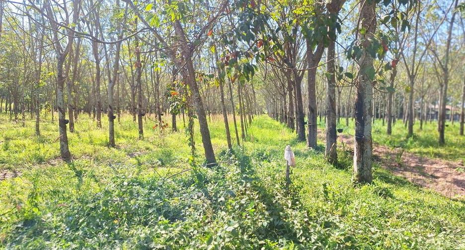 Продажа Участок в Nong Wua So, Удонтани