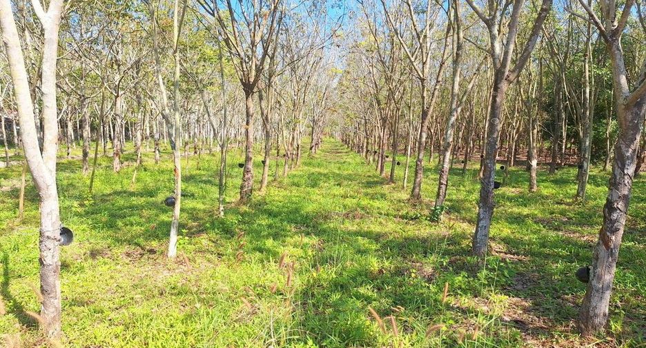 Продажа Участок в Nong Wua So, Удонтани