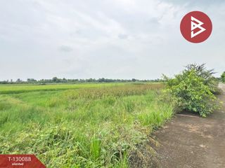 For sale land in Lam Luk Ka, Pathum Thani