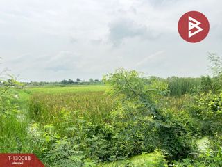For sale land in Lam Luk Ka, Pathum Thani