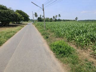 出售 土地 在 Tha Muang, Kanchanaburi
