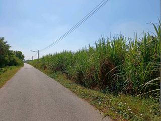 出售 土地 在 Tha Muang, Kanchanaburi