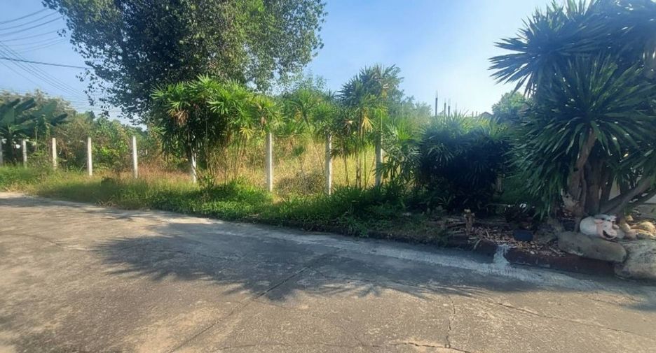 Продажа Участок в Mueang Pathum Thani, Патумтани