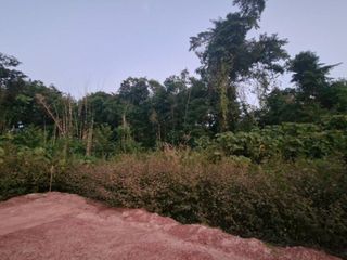 For sale land in Mueang Nakhon Phanom, Nakhon Phanom