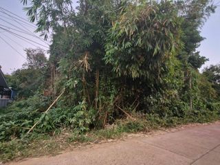 For sale land in Mueang Nakhon Phanom, Nakhon Phanom