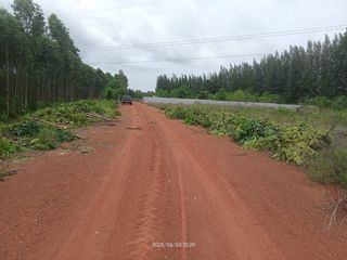 ขาย ที่ดิน ใน เมืองสระแก้ว, สระแก้ว