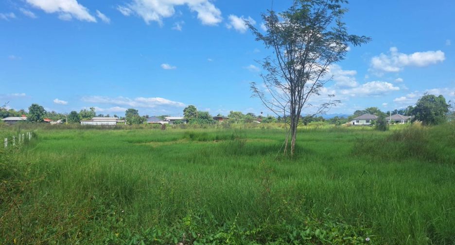 出售 土地 在 San Kamphaeng, Chiang Mai