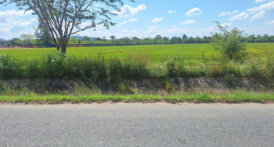 出售 土地 在 San Kamphaeng, Chiang Mai