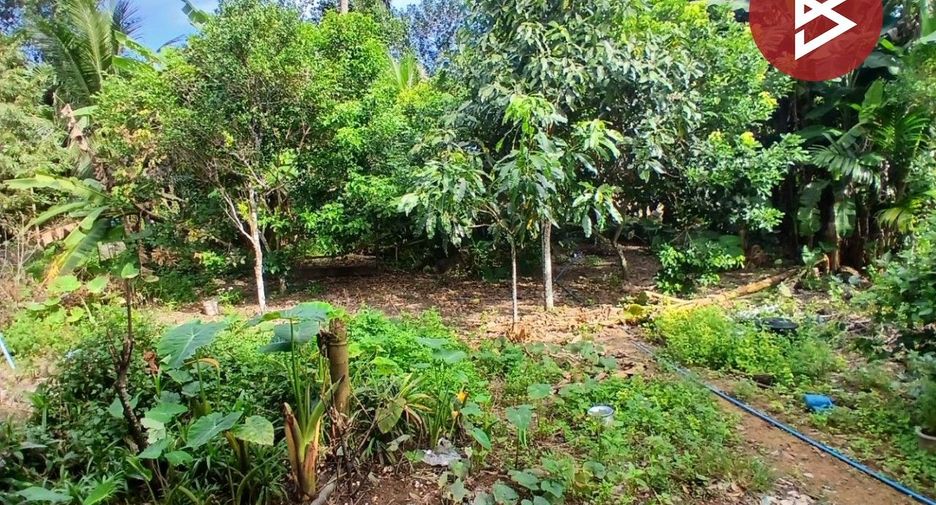 出售 1 卧室 独立屋 在 Phipun, Nakhon Si Thammarat