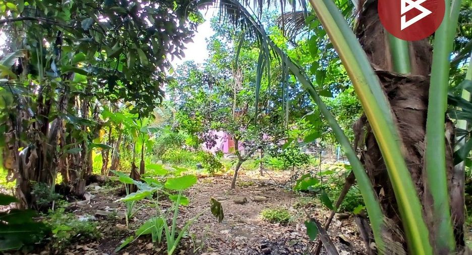 出售 1 卧室 独立屋 在 Phipun, Nakhon Si Thammarat
