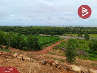 ขาย ที่ดิน ใน เมืองตราด, ตราด