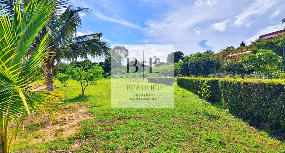 For sale land in Ko Chang, Trat