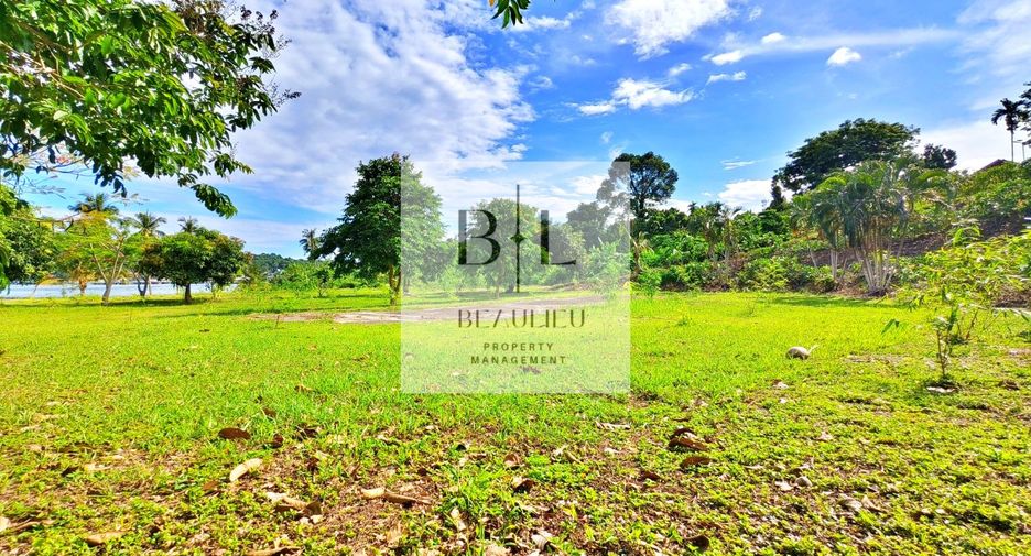For sale land in Ko Chang, Trat