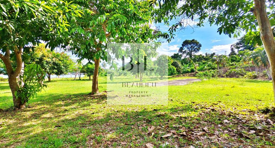 For sale land in Ko Chang, Trat