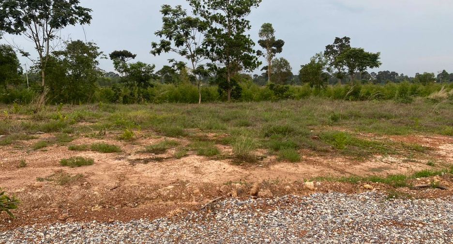 For sale land in Kabin Buri, Prachin Buri