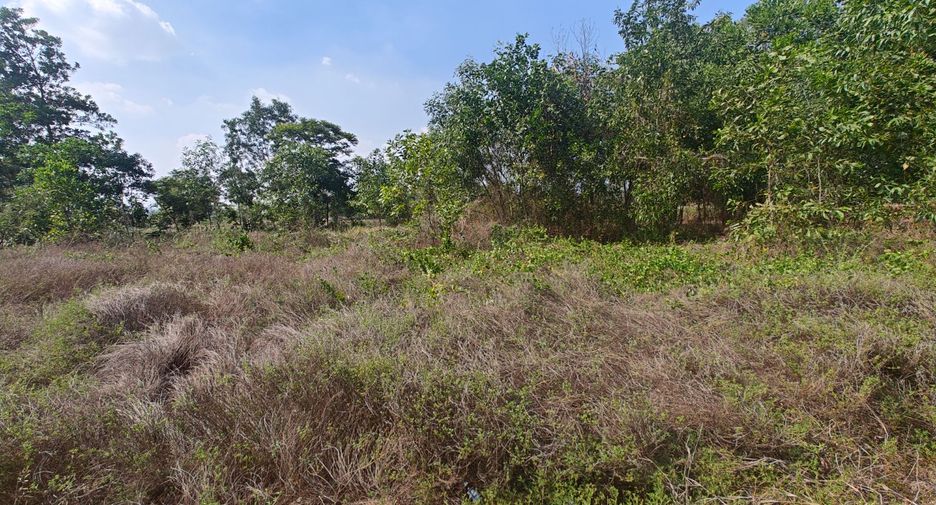 For sale land in Kabin Buri, Prachin Buri