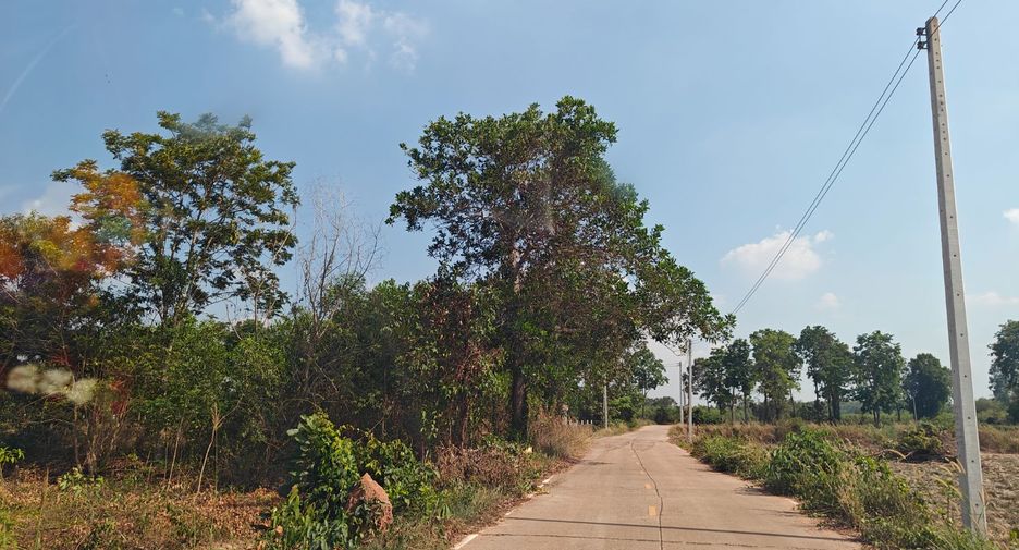 For sale land in Kabin Buri, Prachin Buri
