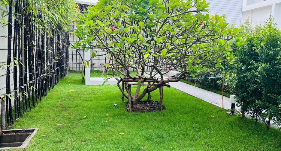 For rent 4 bedrooms house in Watthana, Bangkok