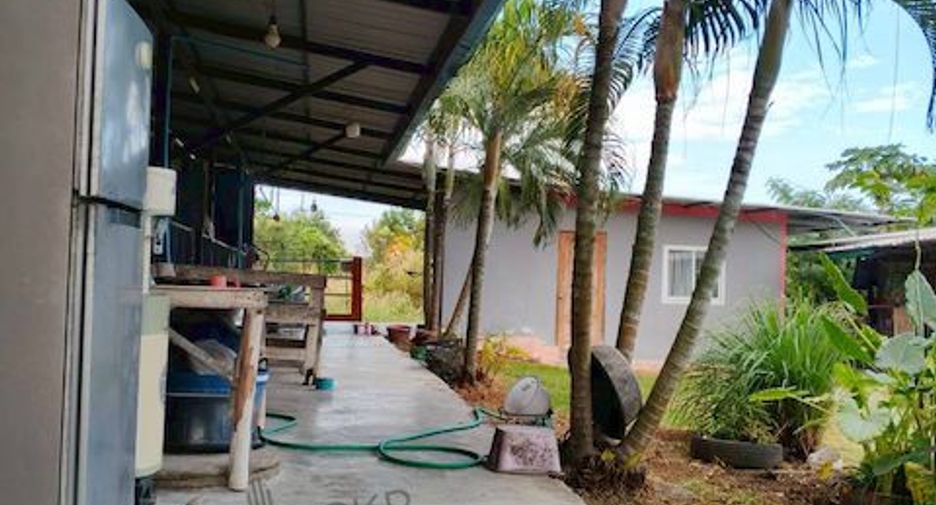 For sale land in Ban Bueng, Chonburi