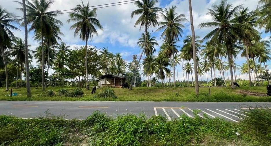 Terreno en venta en Tha Sala, Nakhon Si Thammarat