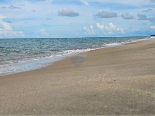 For sale land in Tha Sala, Nakhon Si Thammarat