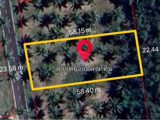 For sale land in Tha Sala, Nakhon Si Thammarat
